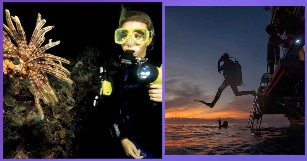La Magia Nocturna del Arrecife Paraíso. Buceo Nocturno en Cozumel: Una Aventura Submarina Bajo las Estrellas