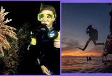 La Magia Nocturna del Arrecife Paraíso. Buceo Nocturno en Cozumel: Una Aventura Submarina Bajo las Estrellas