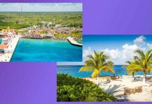 Mejores lugares para bucear en Cozumel: Una guía definitiva para explorar el Caribe Mexicano