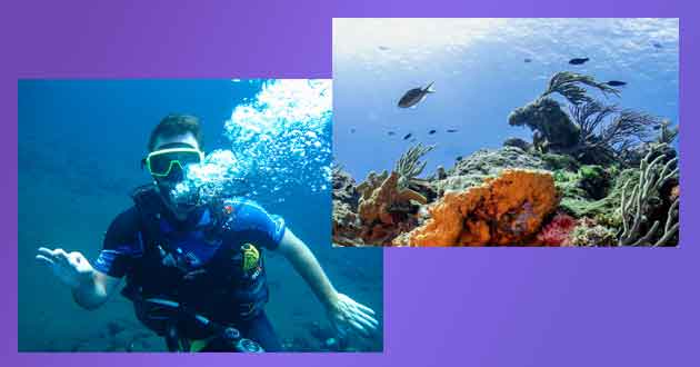 Vida Submarina en Cozumel 3