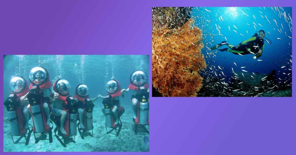 El Paraíso Submarino del Caribe Mexicano. La Fascinante Vida Submarina de Cozumel: Tu Aventura Definitiva de Buceo.