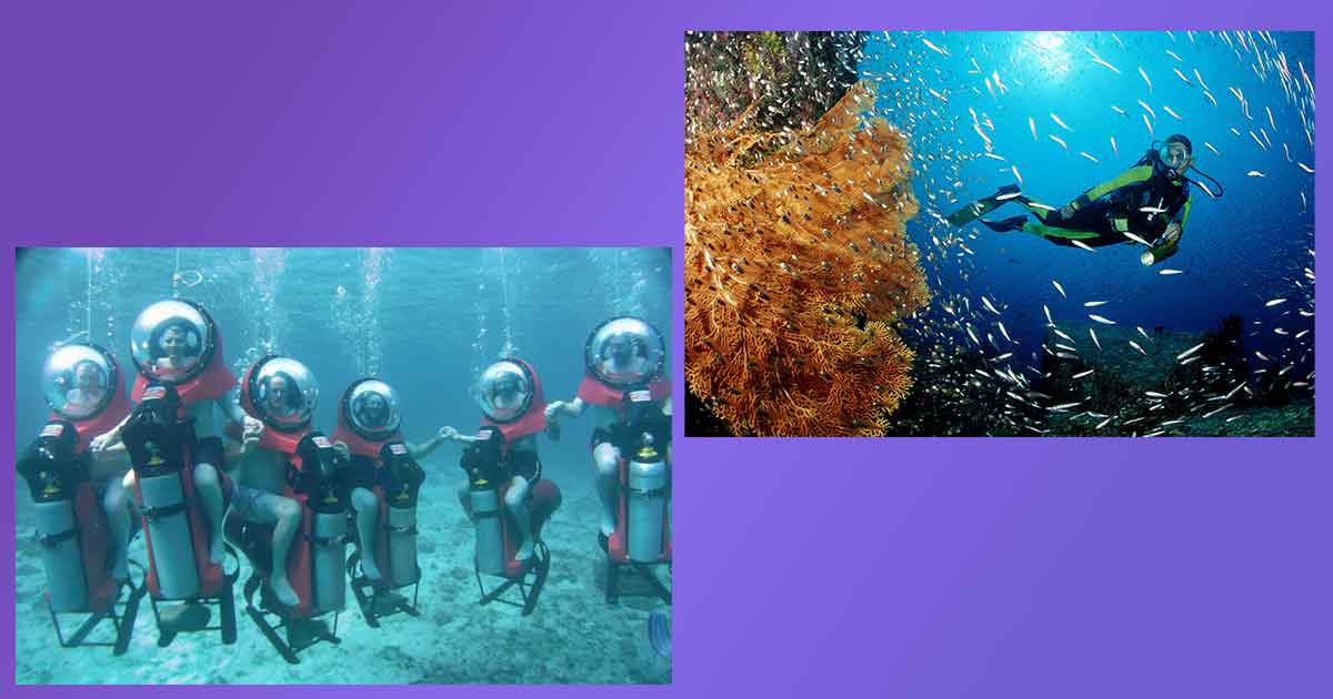 Vida Submarina de Cozumel: Tu Aventura Definitiva de Buceo