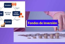 Desglosando el Fondo de Inversión: Sus Componentes Esenciales. Como Funcionan los Fondos de Inversión.