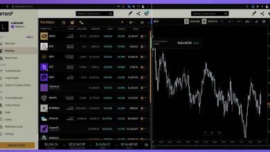 La Realidad de eToro en el Mercado Mexicano. eToro en México: Todo lo que Necesitas Saber en 2025